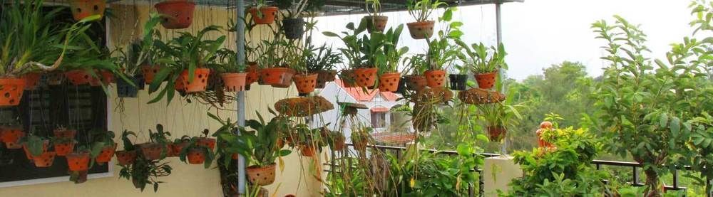 Leaf Homestay Hội An Extérieur photo