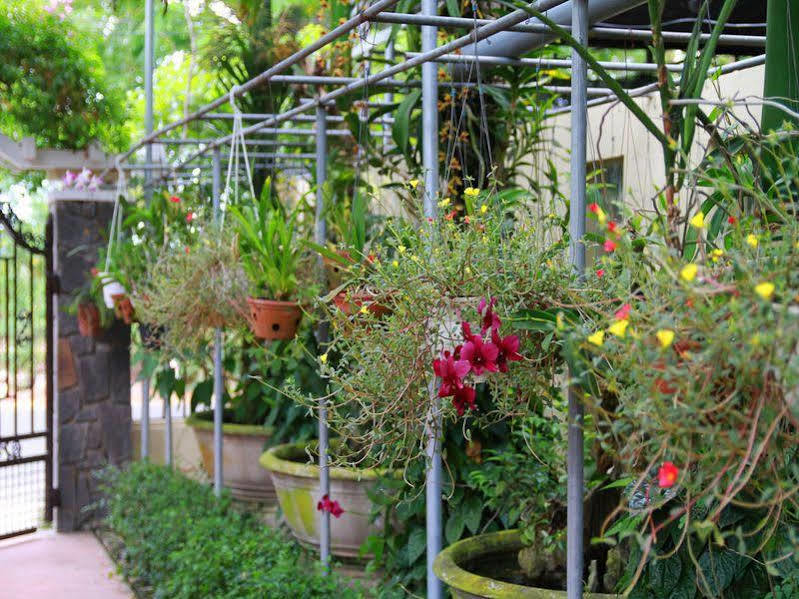 Leaf Homestay Hội An Extérieur photo