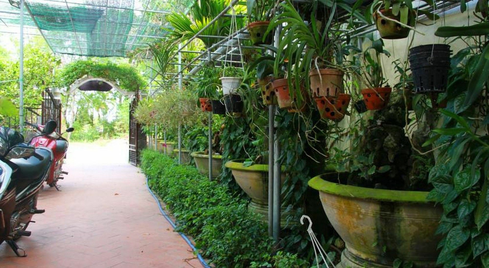 Leaf Homestay Hội An Extérieur photo
